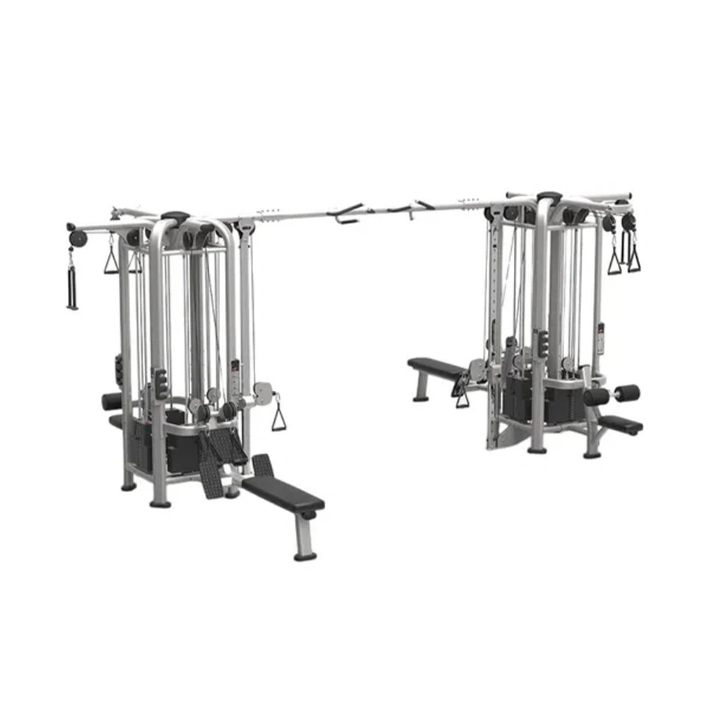 Entrenador Integral Life Fitness Big Bird