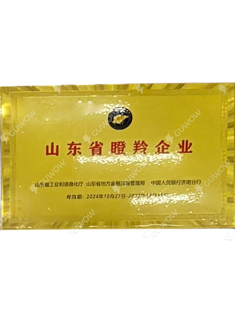 Shandong Antelope Enterprises