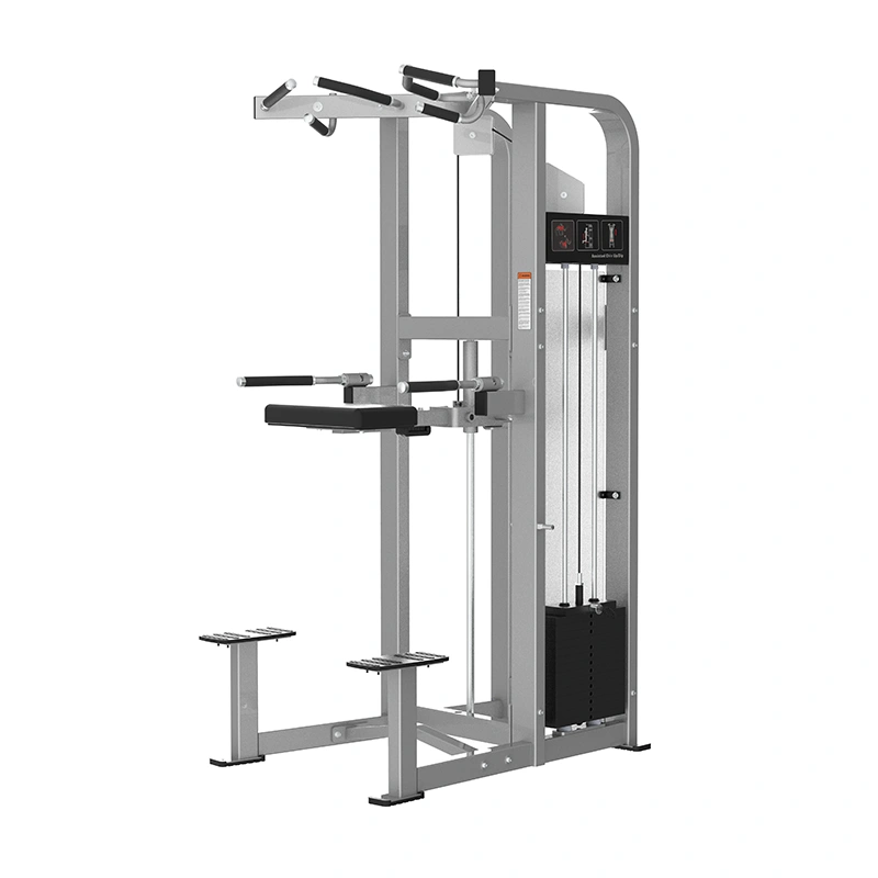 Assisted Chin Up/Dip