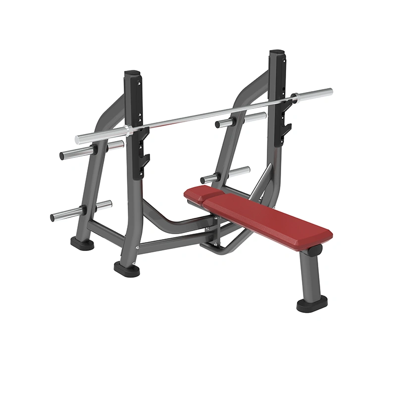 Olympic Bench with Weight Storage